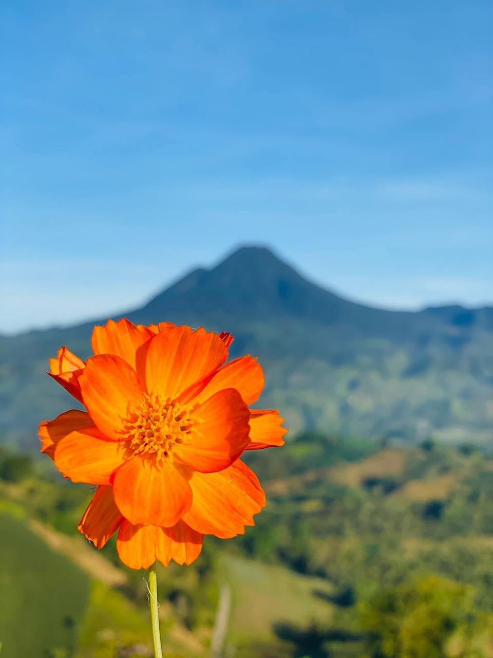 Exploring Mount Luho Sights